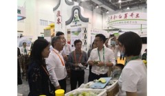 广东商务考察团在吉调研绿色食品产业