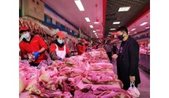 猪肉价格将持续低位运行