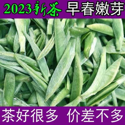 2023新茶霍山黄芽茶叶黄茶明前特一级安徽春茶散装250克
