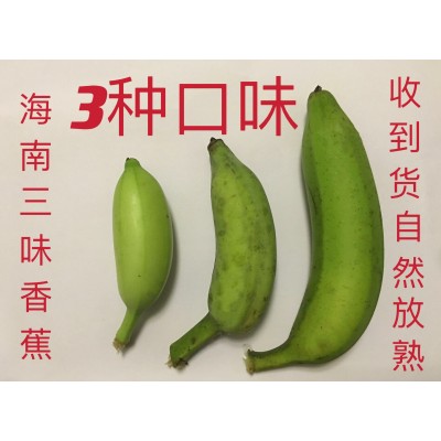 海南三味香蕉整箱新鲜水果当季包邮小香蕉3/5/斤非广西红皮香蕉