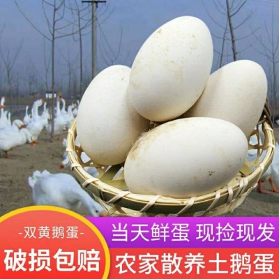 儿童农家地道土鹅蛋新鲜特大土鹅蛋食用孕妇宝宝现捡现发 12枚