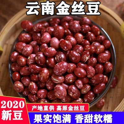 云南金丝豆5斤 农家自产红花豆孔雀豆芙蓉豆雀蛋豆芸豆红饭豆1斤