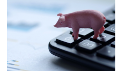 猪价年内跌幅已超20% 业界预计三季度末前后有望企稳回升